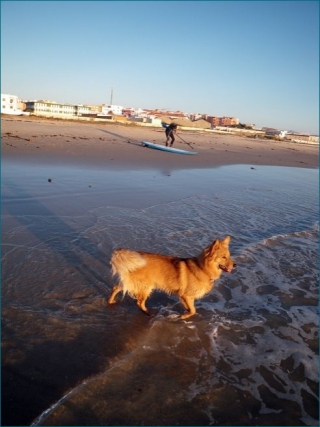  Enjoying the beach of Tarifa 